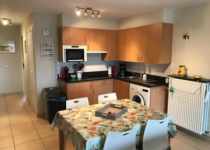 Appt Pablo Met Prive-garage, Vlakbij Zee, In Koksijde-bad