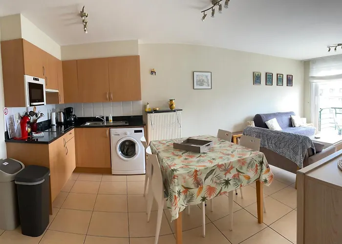 Appt Pablo Met Prive-garage, Vlakbij Zee, In Koksijde-bad * 코크시데